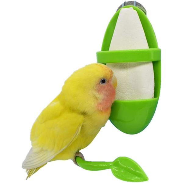 1 kpl Muoviset Cuddle Bone -syöttöhyllyt Papukaijan Häkin Pidikkeet
