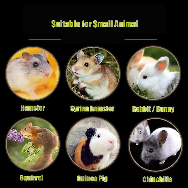 20 st Chinchilla Lavastenar Kanin Tuggleksaker Lava Tand Kanin