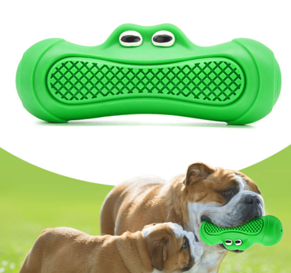 Grön Alligator Flytande Hundleksak Sommar Simning Vatten