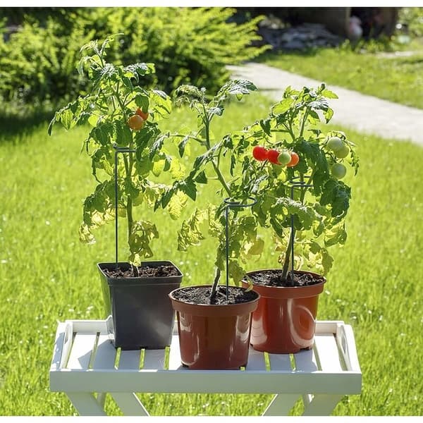 Växtstöd 6 st Växtstöd Metallring Trädgårdsstöd Ring för växter Blommor Grönsaker 40cm