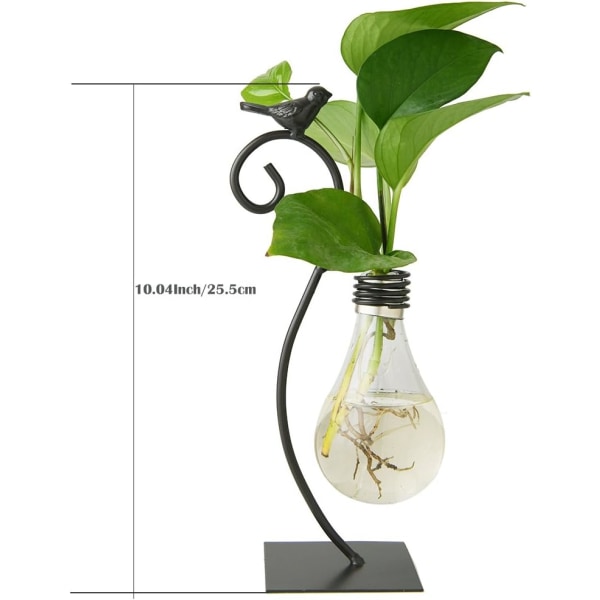 Desktop Glass Planter Hydroponic Vase, Bulb Vase med stativ for