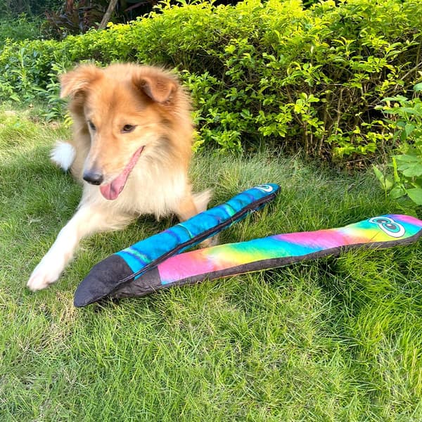 Blå og regnbue slange stoffdyr for hund