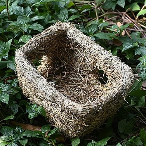 Gresstunneler for hamstergjemmesteder, hamstertunneler, naturlige
