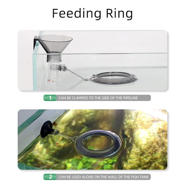 Akvarium Retningsbestemt Foder Spiserør Fisk Rejer Foder