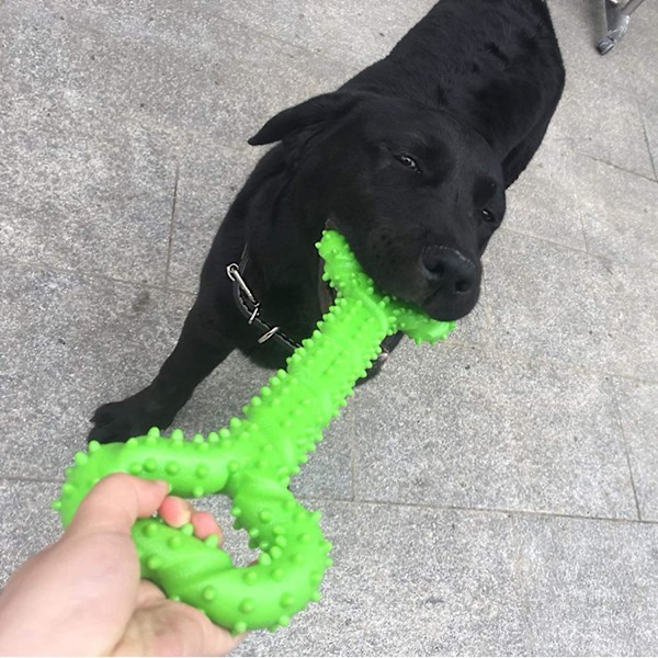 Hunde tyggelegetøj modstandsdygtig gummi 13 tommer knogleformet hundelegetøj hvalpe med konveks design solid interaktivt hundelegetøj til aggressive tyggere små og store