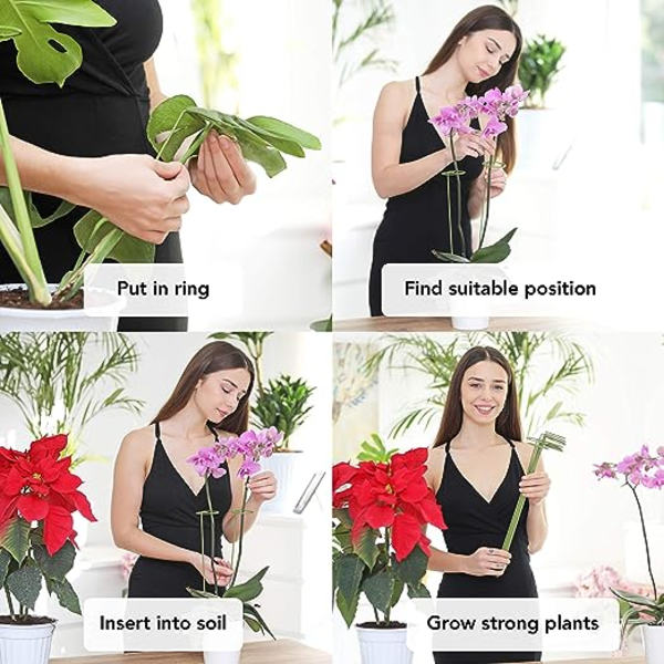 10 Växtstöd Kit | Stöd för Klätterväxter och Blommor | Grön Stödpåle | Hjälp Dina Blommor Växa | Trädgårdstomat