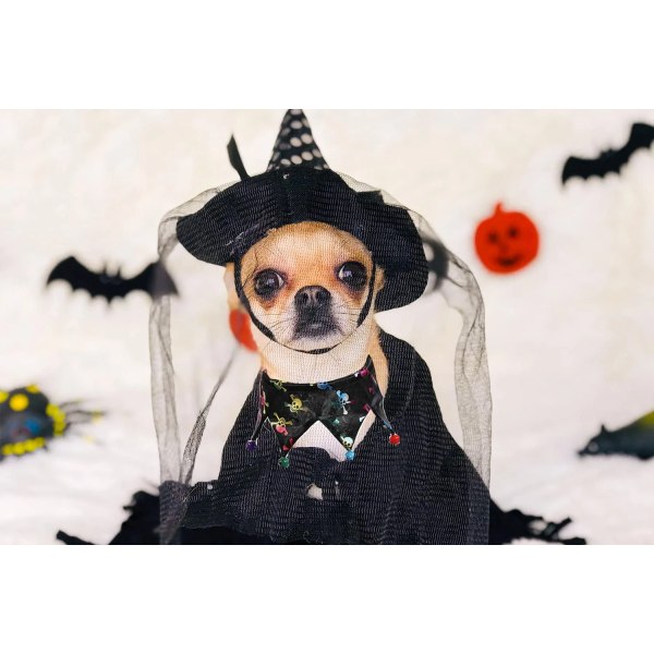 Halloween-koiran bandana, lemmikkipäähine, kissan bandana-kaulus