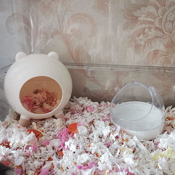 Rotte gemmested, Hus Habitat Dekoration Dværghamster Syrisk hamster Gerbil (hvid)