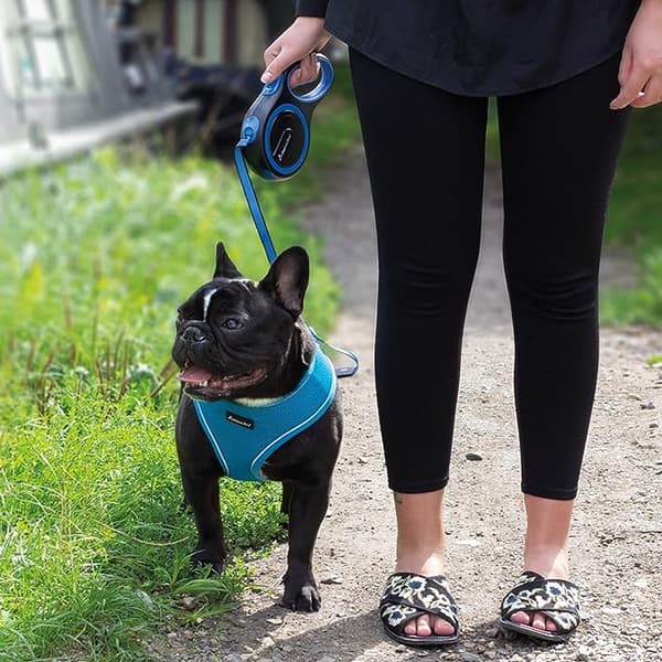 Utökningsbart hundkoppel - Blå, 8 meter utökningsbart koppel