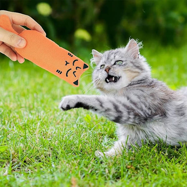 5 stycken kattbett leksaker kattbett leksak husdjur katt lek bett rengöring