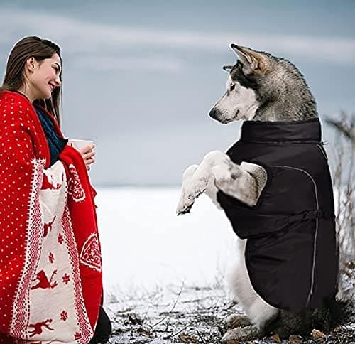 Hundekåpejakke for store hunder, vinterreflekterende vanntett hund