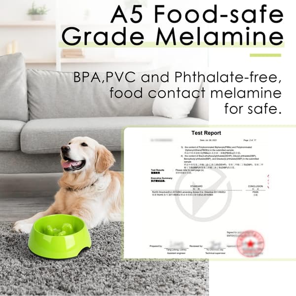 vert-Anti Gluttony Skål til Hund og Kat, Skridsikker Foder Skål Der