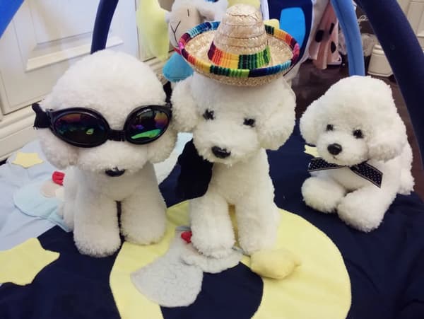 Mini Halmhat Sommer Hund Cowboyhatte Katte Halmhatte Strand