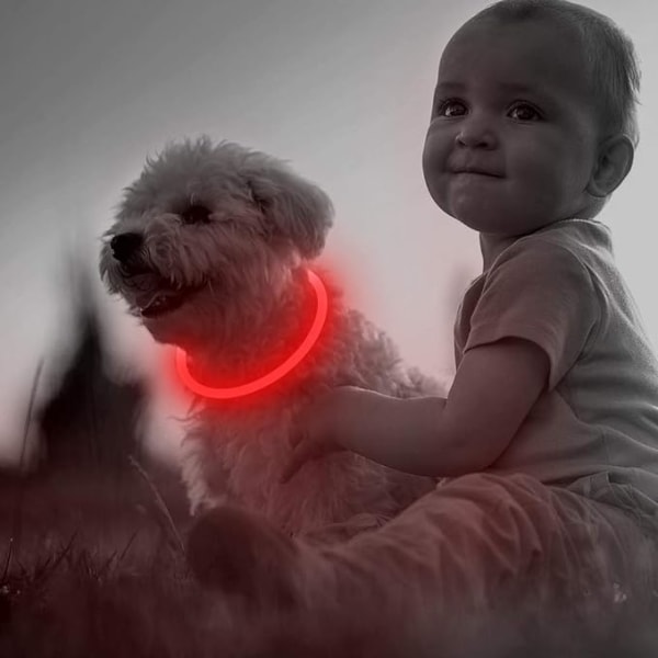 LED-hundhalsband, USB uppladdningsbart, lysande hundhalsband för natten