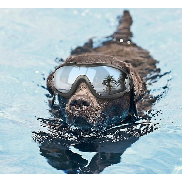 Pet Dog Solglasögon Anti-UV Skyddsglasögon Vattentät och