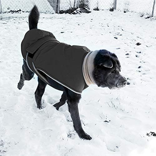 Vinterhundjacka, Hundjacka Vindtät Hundväst Kläder med Värme