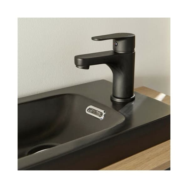 Håndvaskhane - Varmt og koldt vand mixer TAP Mat sort