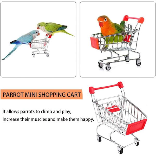 5 st Parrotspel, Parrotskridsko Rullvagn Klocka Boll Stift,