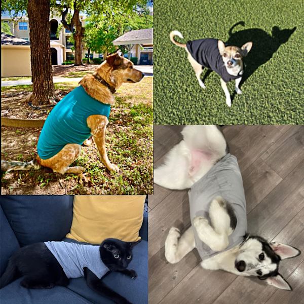 Bomulls Hundkläder Enfärgad Hund T-shirt Kläder Mjuk