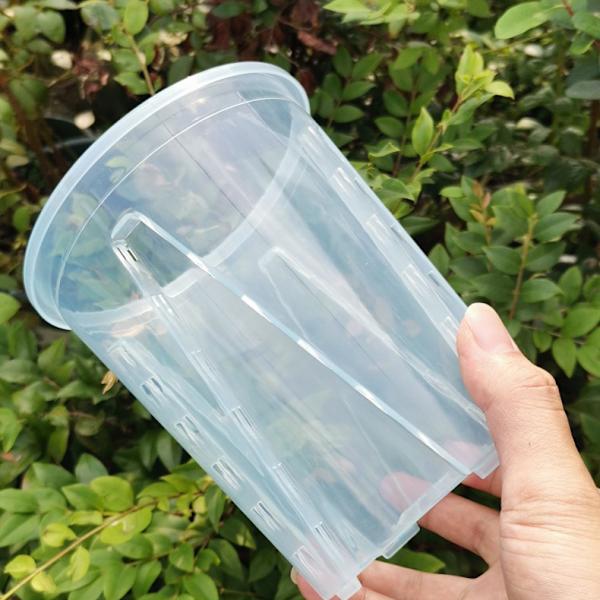 2 Krukor Diameter 14 cm i Transparent Plast för Orkidéer, Stiv