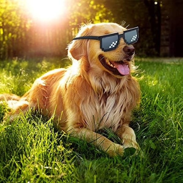 3-pack solglasögon, mlg pixlade solglasögon, solglasögon för män