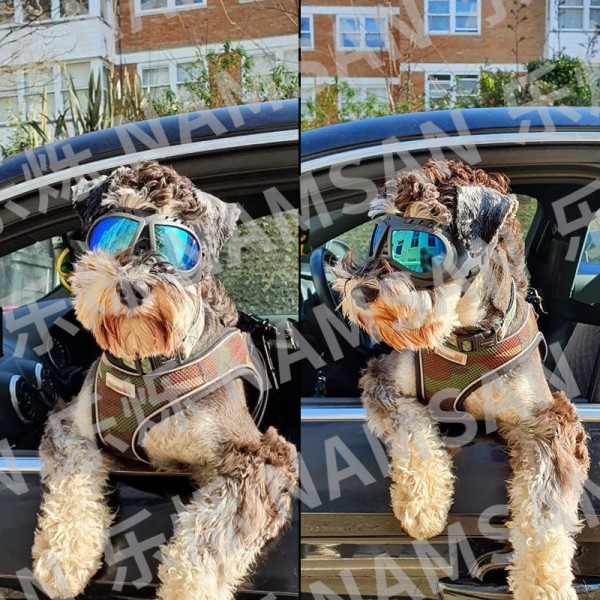 Hunde Solbriller Goggles Enkle å Bruke Hundebriller Motorsykkel