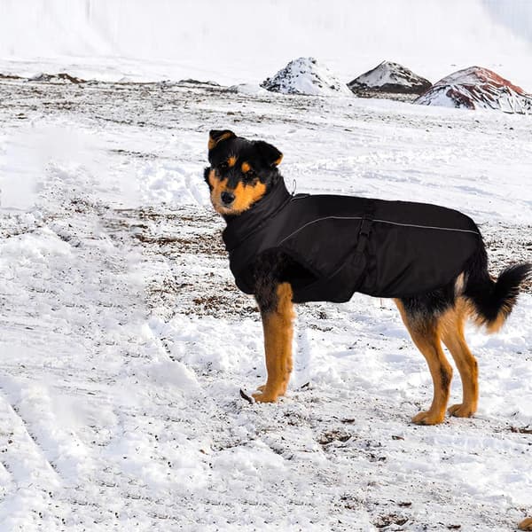 Hundjacka för Stora Hundar, Vinter Reflekterande Vattentät Hund