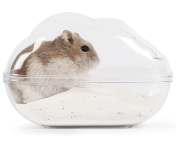 Sandsbad för Hamster (M), Transparent Sandsbad för Hamster med