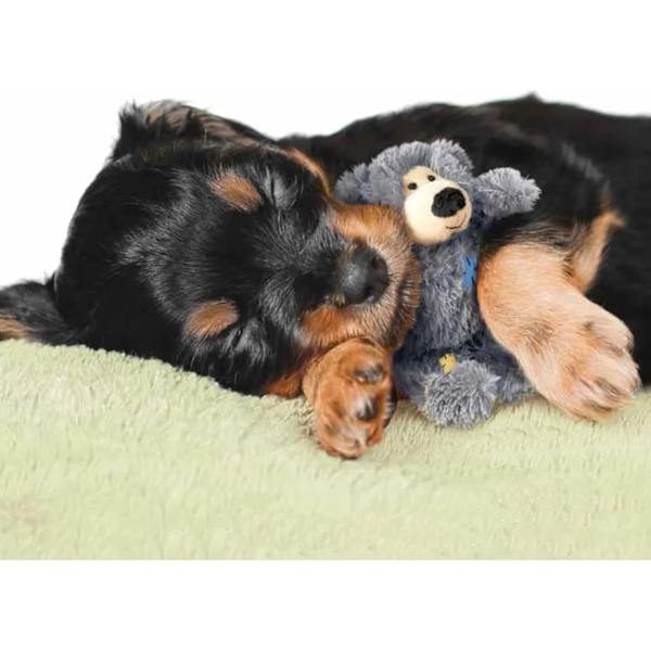 Patch Bear Hållbara Hundleksaker Storlek: Small/Med Pack med 2 Små Ras