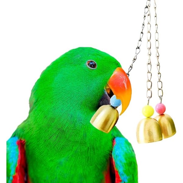 Parrot leksaksklocka, 8 tum, 3 galvaniserade stålklockor, för