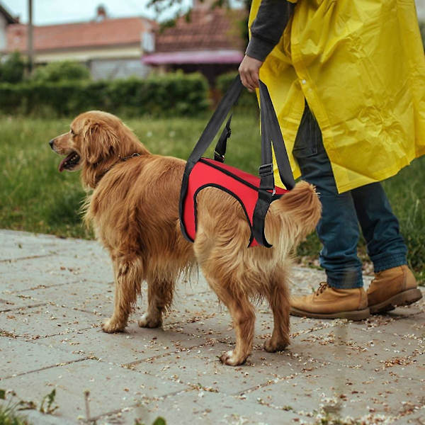 Hundsele, Stödsele för Hundar Hjälper till med Att Gå Lyftsele Dragsele för Valp och Skadade Hundar
