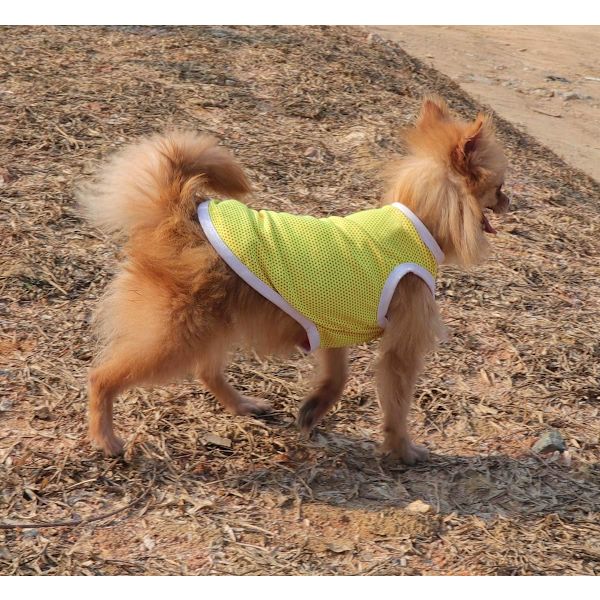 Husdjurskläder, Minimalistisk Hundtröja, Söta Små T-shirts,