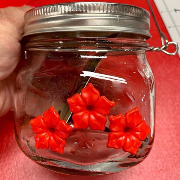 Have-have kolibri fuglefoder med blomst