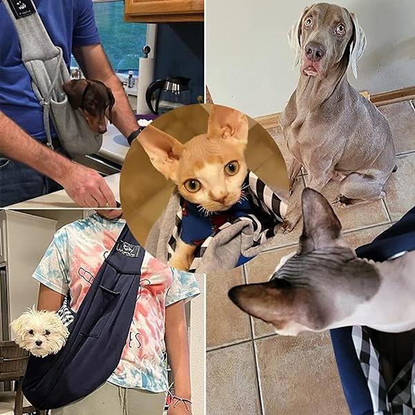 Hund og katt bæresele - Håndfri - Justerbar - Passer for