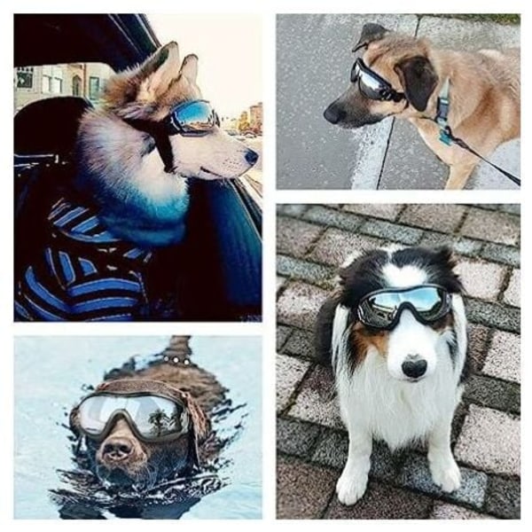 Hunde Goggles Pet Goggles Vindtætte og Vandtætte Øjenbeskyttelse til Mellemstore og Store Hunde