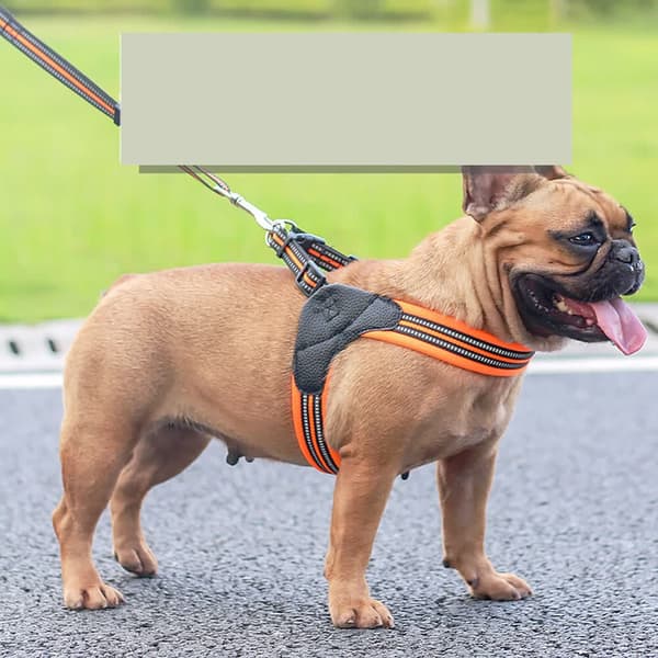 Blått S-storlek hundsele set med reflex