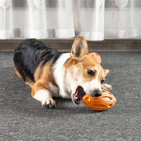 1 stk orange legetøjs-hund ?? legetøjs-rugbybold gummi bidresistent