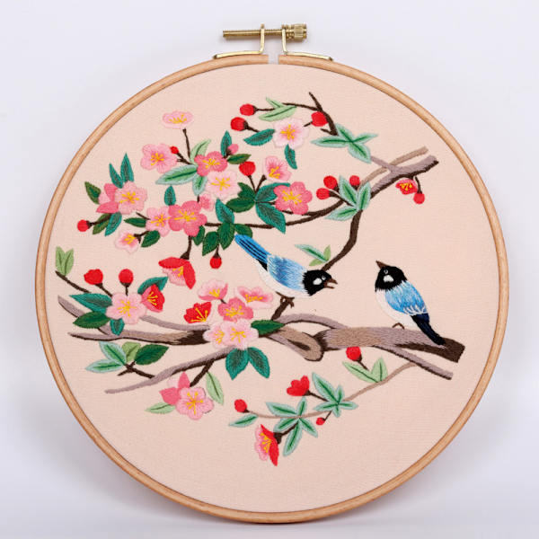 Broderikit for voksne nybegynnere, broderikit