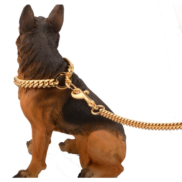10mm metall hundkoppel hundkedja med vadderat handtag för medium