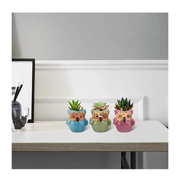 6 stycken suckulenta växter krukor Mini uggla keramik blomkruka bonsai