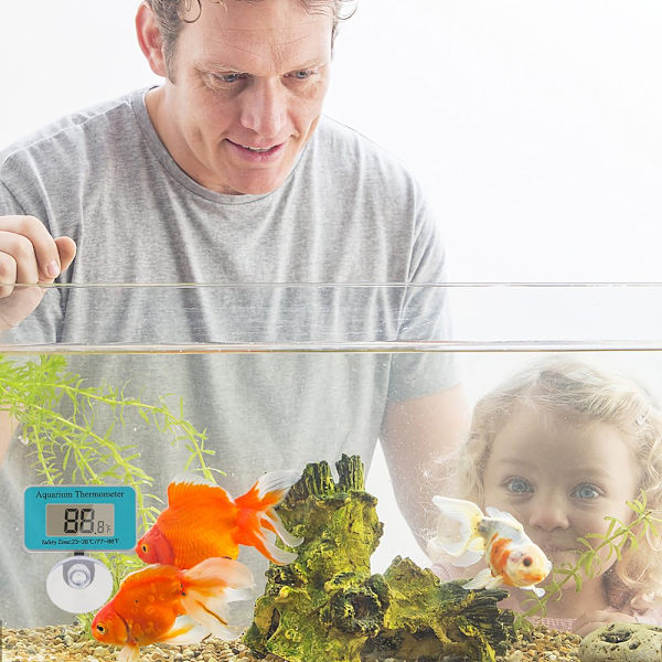 Akvariumtermometer med sugekopp