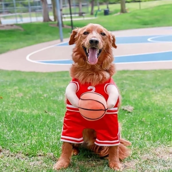 Basketbolldräkt för hund med boll, 2024 Ny basketbollspelare-dräkt för hund med boll, Söt basketbolldräkt för hund