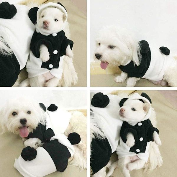 Lemmikkipanda-asu, söpö ja hauska kissan ja koiran vaate, Halloween