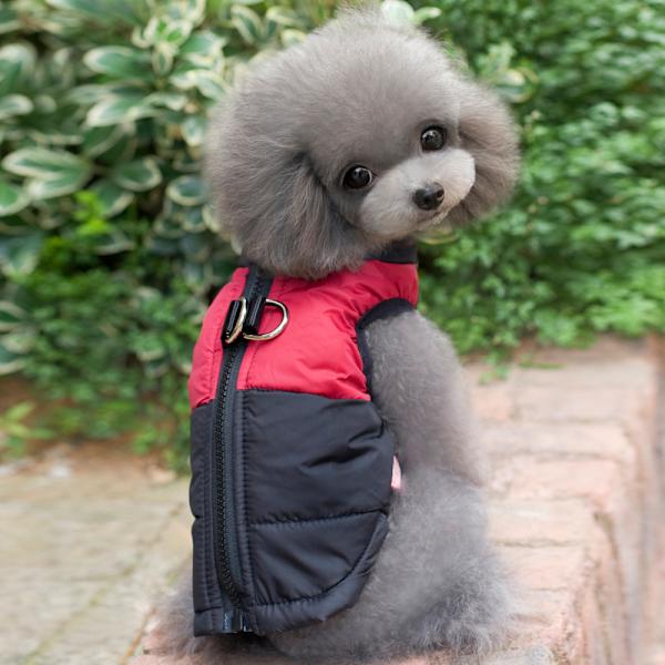 Lille Vandafvisende Hundejakke Vinter Tyk Quiltet Dunjakke