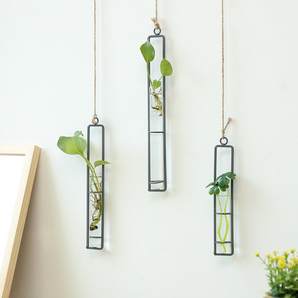 Kreativ Glasvas Hemp Snöre Vägg Hängande Hydroponisk Liv