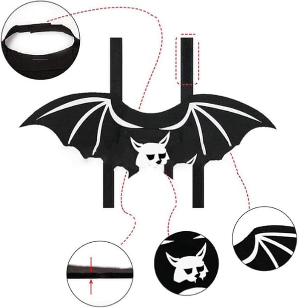 Halloween Kattekostumer - Sød Unik Halloween Kattekostume