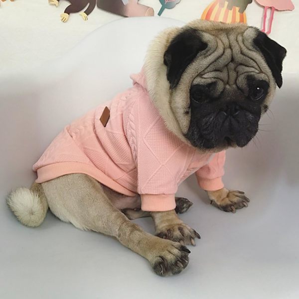 Dragkedja Hoodie för Hundar Husdjurskläder Hund Katt Kläder Söt Husdjur