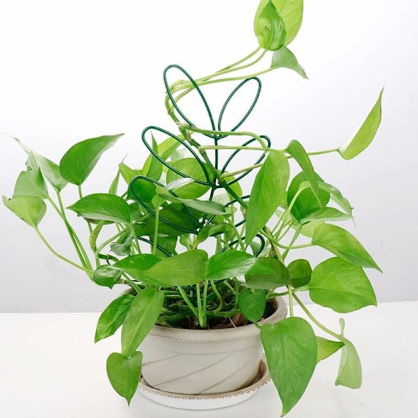 Kobberbånd mod snegle, 30 mm x 20 m Anti-sneglebarrierebeskyttelse mod snegle hævede bedplanter, selvklæbende kobberbåndsforsvar mod snegle