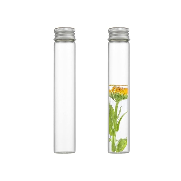 2 st 30 mm Diameter Kontroll Guldlock Transparenta Glasflaskor Små