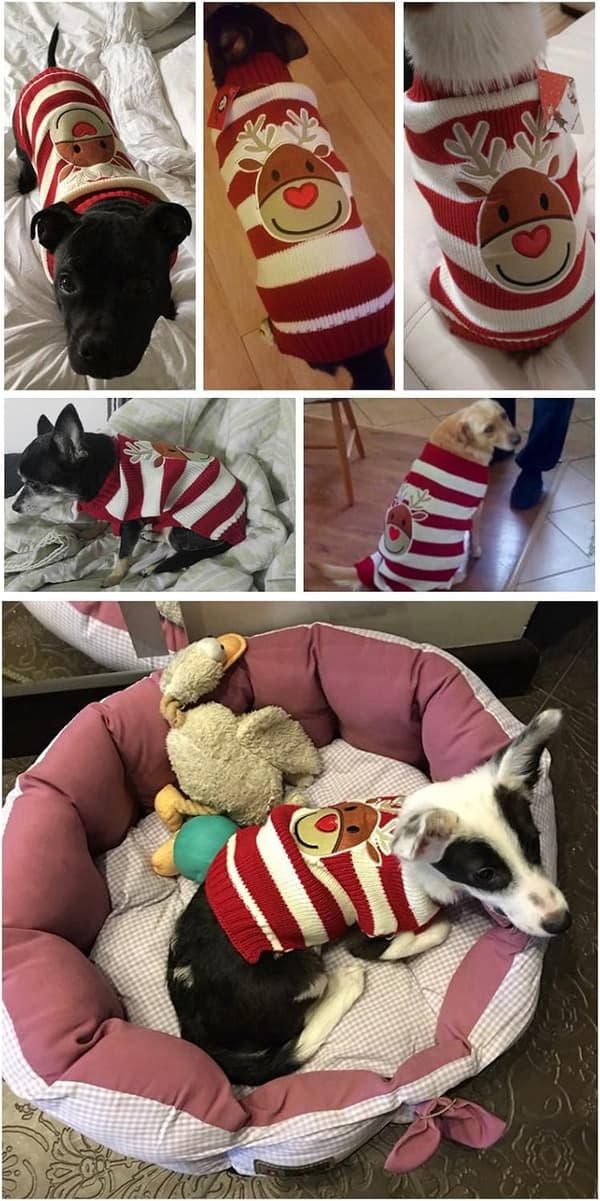 Söt Rensa Hund Julstickad Tröja Valp Katt Vinter